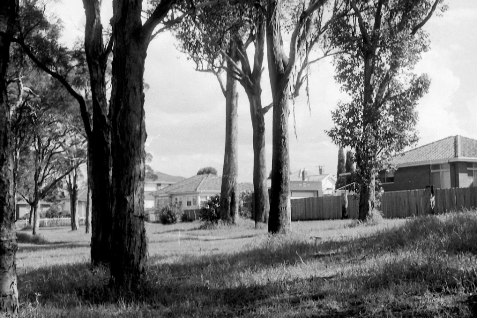 1974 Parramatta High School Cross Country